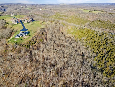 3-web-or-mls-DJI_0460