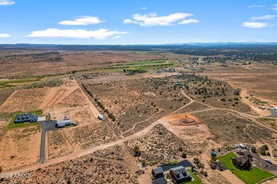 2808 S Bourdon Ranch Rd, Show Low, AZ 85901 - photo 6
