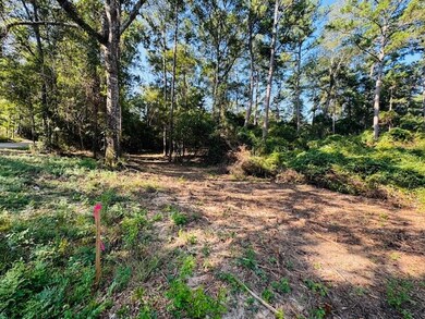 TBD Par Road 266, Franklinton, LA 70438 - photo 6