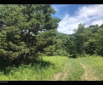 0 N Centerline Rd unit 18032500, White Cloud, MI 49349 - photo 2
