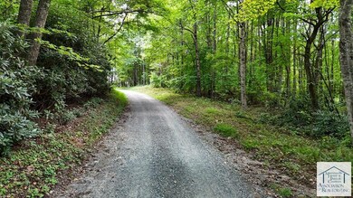 0 Bent School Rd, Meadows of Dan, VA 24120 - photo 5