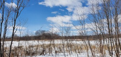 ON Price Polar Rd unit 20 Acres, Bryant, WI 54418 - photo 7