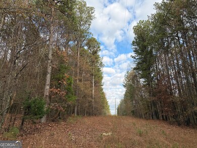 0 Branson Crossing Rd unit 2, Kingston, GA 30145 - photo 2