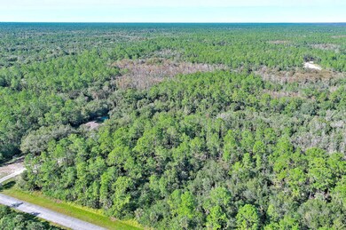 4669 32nd Ave SE, Rural Estates, FL 34117 - photo 5