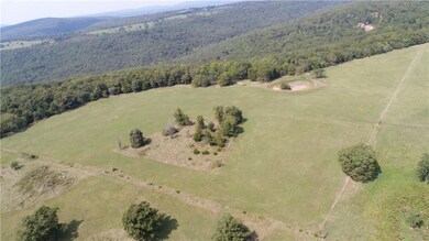 TBD Heflin Thomas Farm Rd, West Fork, AR 72774 - photo 3