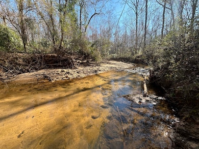 1430 Cleveland Farms Rd, Locust Grove, GA 30248 - photo 2