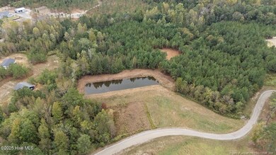 150 Hickory Pointer Way, Cameron, NC 28326 - photo 6