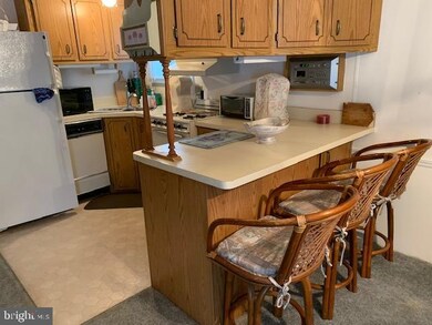 450 Timberline Cir, Berlin, MD 21811 - photo 3