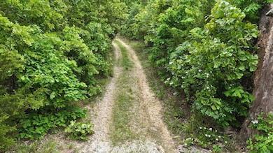 Tract 19 Pine Ridge Ln, Clinton Township, MO 65689 - photo 3