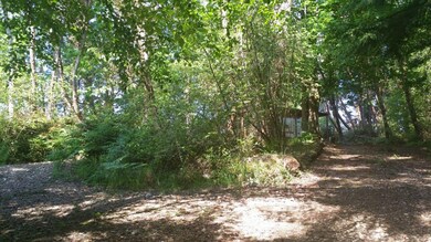 9910 Steffensen Rd, Anderson Island, WA 98303 - photo 4