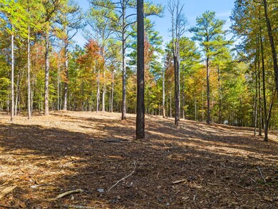 0 Nimmons Bridge Rd, Salem, SC 29676 - photo 4