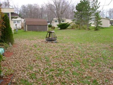 Yard/Garden