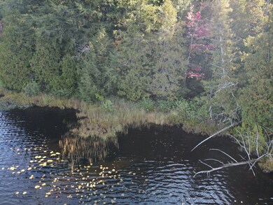 8103W Runyard Rd, Knight, WI 54534 - photo 6