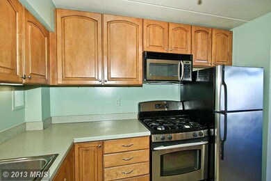 2626 Fort Farnsworth Rd unit 1B, Alexandria, VA 22303 - photo 4