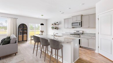 Elle_Granite_Electric_1