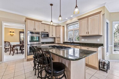 4312 Camelot Cir, Naperville, IL 60564 - photo 6