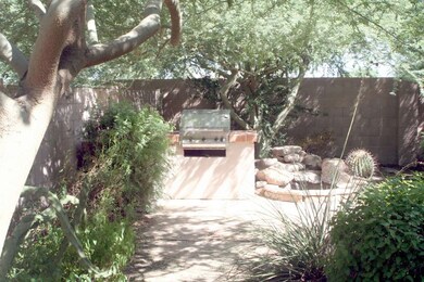 Cool Green Backyard