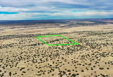 Tbd N6579, Saint Johns, AZ 85936 - photo 2