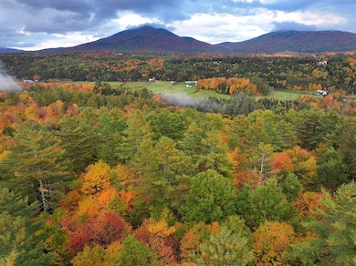 000 Darling Hill Rd, Lyndon, VT 05851 - photo 7