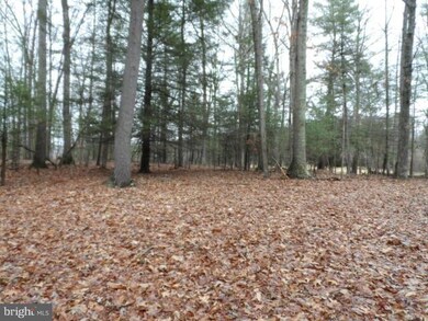 29 Silverstone Ln, Berkeley Springs, WV 25411 - photo 4