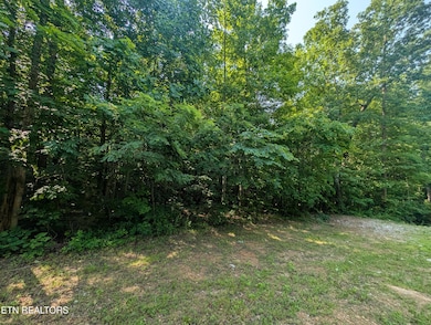 PXL_20250602_142942874