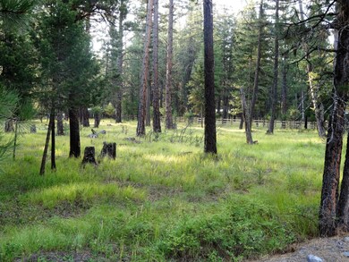 453 Kelley Dr, Big Fork, MT 59911 - photo 2