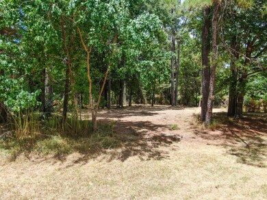 TBD E Forest Ct, Conroe, TX 77384 - photo 6
