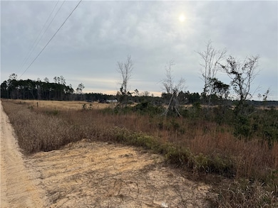 9.22 Rhine Rd, Alma, GA 31510 - photo 5