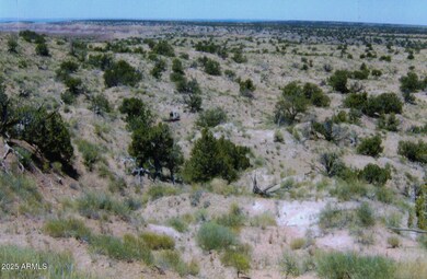 000 N6315 unit 115, Saint Johns, AZ 85936 - photo 3