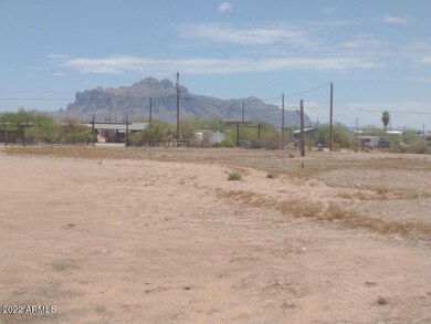 SAGUARO LAND4