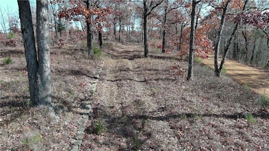 TBD Madison 3605 Rd, Kingston, AR 72742 - photo 5