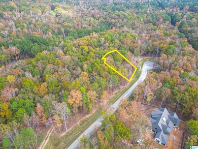 3 ACRE LOT- AMAZING BUILD SITE
