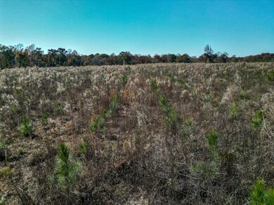 William Avera Rd, Morgan, GA 39866 - photo 5