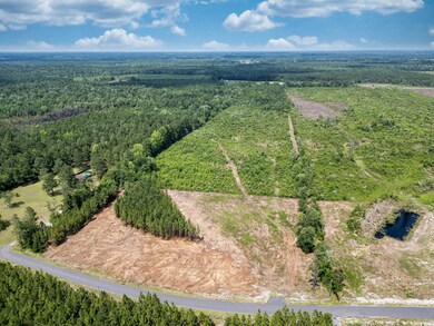 Bird's eye view of a heavily wooded area