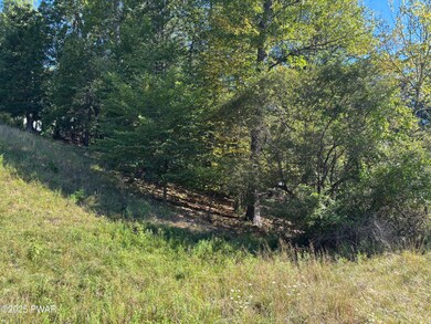 0 Stafford Dr unit PWBPW252870, Lehman Township, PA 18324 - photo 3