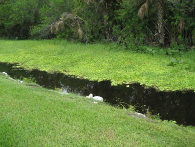 Back of Property