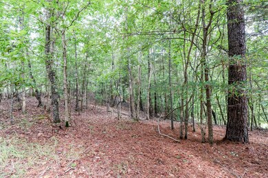 4004 Sutherland Dr, Oxford, MS 38655 - photo 6