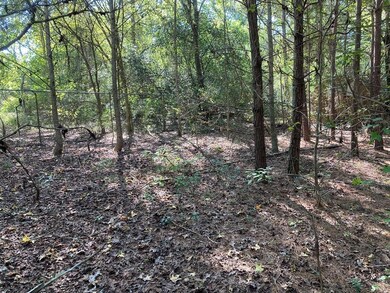 813 E Brenda Ln, Magnolia, TX 77354 - photo 2