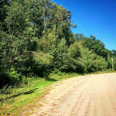 Lots 17 & 18 Berry Farms Rd, Alexandria, NH 03222 - photo 5