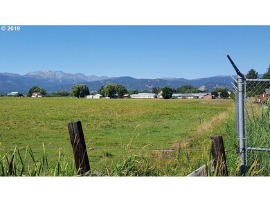 0 0 Lone Fir unit 19409627, Halfway, OR 97834 - photo 5