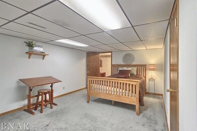 20322 Cedar Ave, Downs, IL 61736 - photo 4