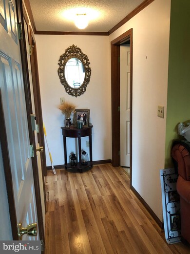 102 Massanutten St, Edinburg, VA 22824 - photo 3