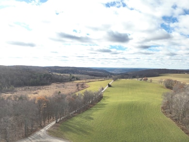 0 Tuhro Rd, Athens, PA 18810 - photo 3