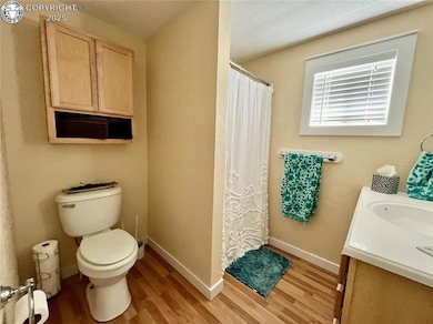 Full bath with vanity, light wood finished floors, and a stall shower