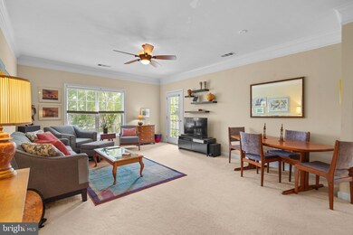 Mill Crossing unit 208, Frederick, MD 21702 - photo 6