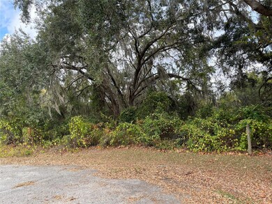 0 SE 97th Ct unit MFROM714505, Summerfield, FL 34491 - photo 4