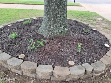 Front Yard Tree & Decor