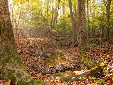 00 Dice Miller Rd, Moore, SC 29369 - photo 5