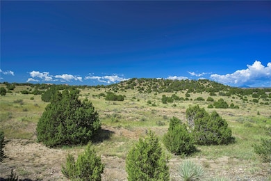 13700 Corundum Rd, Trinidad, CO 81082 - photo 3