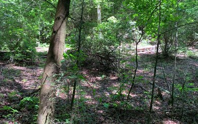 Additional View